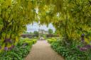 Helmsley Walled Garden = photo Colin Dilcock
