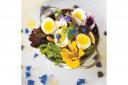 Salad of Whitby Lobster Niçoise-style with Quail Eggs, Marinaded Anchovies and Garden Beans