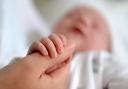 York fertility rate decreases despite national rise Picture: RADAR