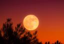 The harvest moon will peak on Friday morning, but what is it, and when is the best time to see it