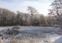 Some great winter 'wildlife' walks near York to see in the New Year. Pictured: Askham Bog in winter: Neil Barthorpe