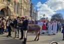 Watch: Donkeys lead Palm Sunday procession from York Minster