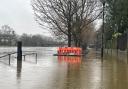 Dame Judi Dench Walk in York flooded this morning (Sun, Feb 11)