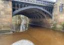 Flooding in Tower Gardens, York, under Skeldergate Bridge today (Friday, March 15)