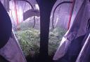 A large quantity of drugs have been seized and a man has been arrested in a suspected cannabis raid in Foxwood in York