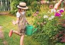 Do you have any of these plants in your garden? They could be harmful to children