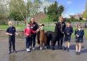 Sheriff Alpacas with pupils at Copmanthorpe School