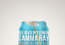 Beavertown, UK, Gamma Ray – 5.4 per cent, £2.85