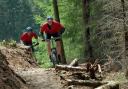 TOUR: Bikers on the trail in Dalby Forest