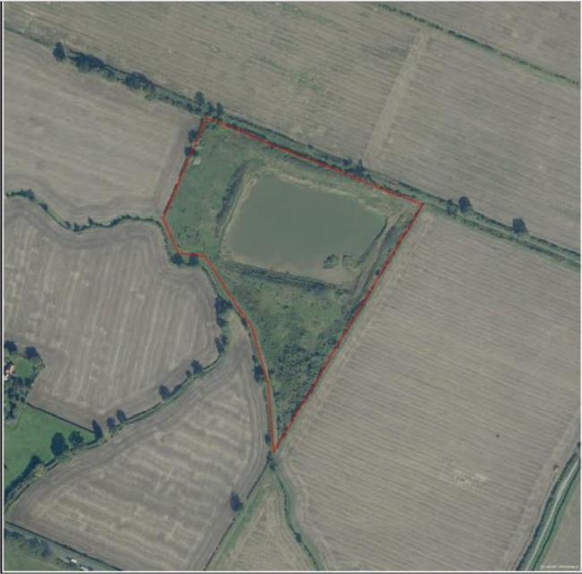 The proposed site near Upper Poppleton