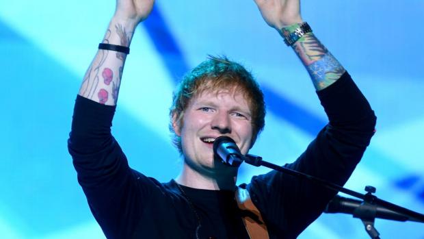 York Press: Sheeran's personalised guitar plectrums will be going up under the hammer (PA)