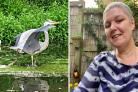 Right: Lynne Kinder in 2020, whjen she was undergoing chemotherapy. Left: one of Lynne's photos of a heron