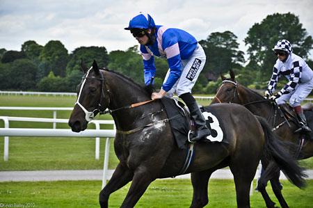 B McHugh & Hotham at York Races. Picture: Kevin Bailey