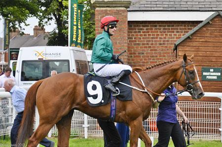 Greg Fairley wins on Capponi at York Racecourse. Picture: Kevin Bailey