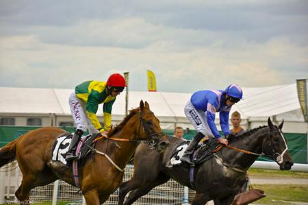 Hothan and Discante at York Races. Picture: Kevin Bailey
