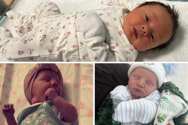 This week's new babies of York
