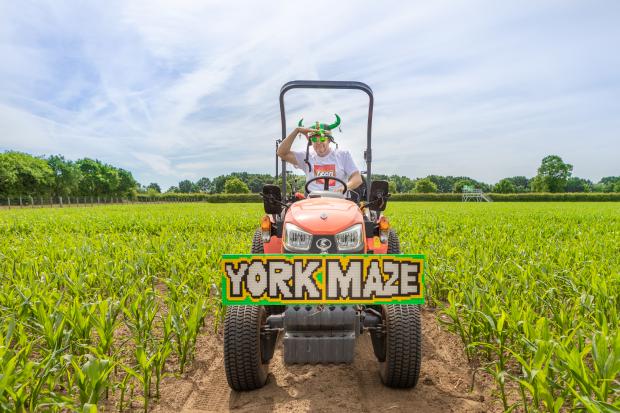 York Press: York maze has teamed up with LEGO for their 2022 'maize maze' design