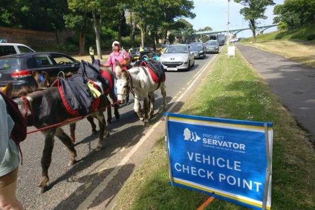 Scarborough police doing spot checks on drivers this morning (June 24) got an unexpected visit from some donkeys