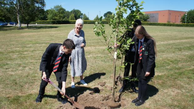 York Press: Former assistant head Dorothy Hornby planted four trees, one for each of our school houses - aspen, willow, oak and hazel
