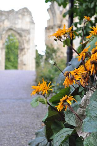 Museum Gardens, York - Picture: Joanna Mounsey (via flickr)