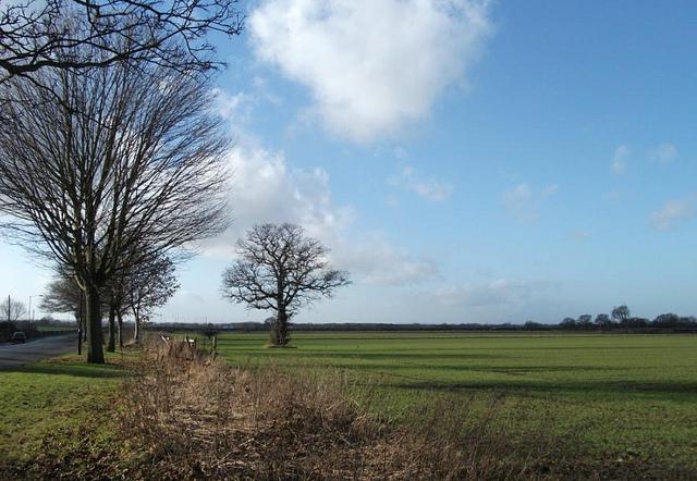 Outskirts of Acomb. Picture: Carl Spencer (via Flickr)