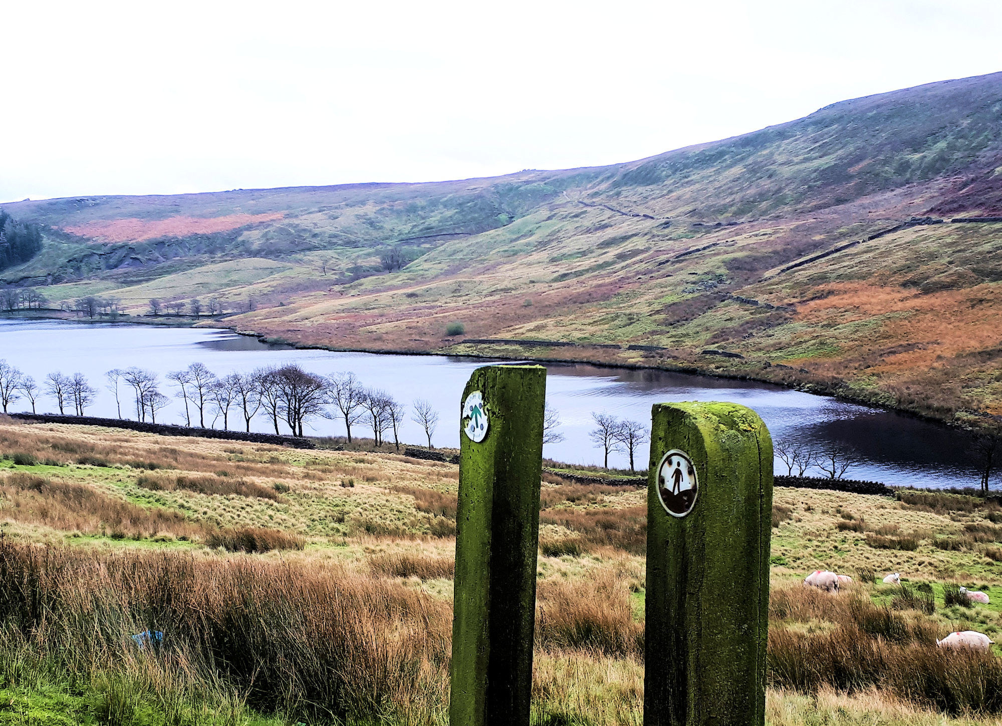 Country walk: Day out at Walshaw Dean and Widdop Reservoir - Vimarsana News