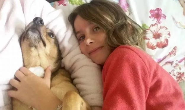 York family in Three Peaks Challenge to remember Katie Rough - Vimarsana News