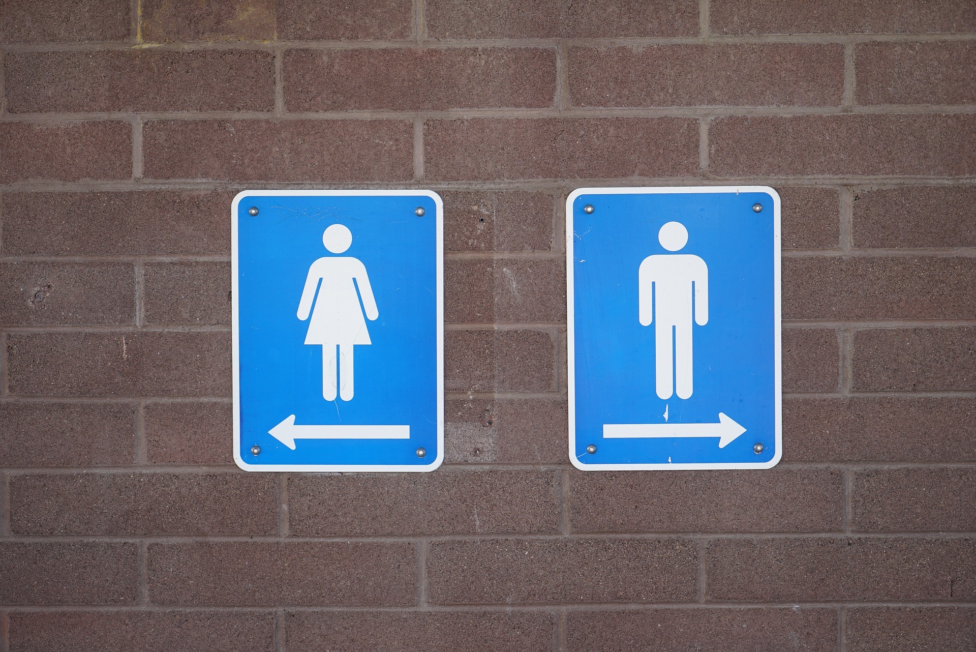 Public toilets in York targeted with 'horrific' anti-social behaviour - Vimarsana News
