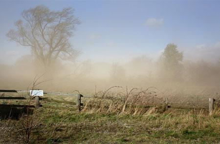 Dust cloud. Picture: Tim Brook