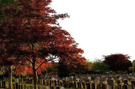 Fulford Cemetery. Picture: 'Sam&Lyz' (flickr)