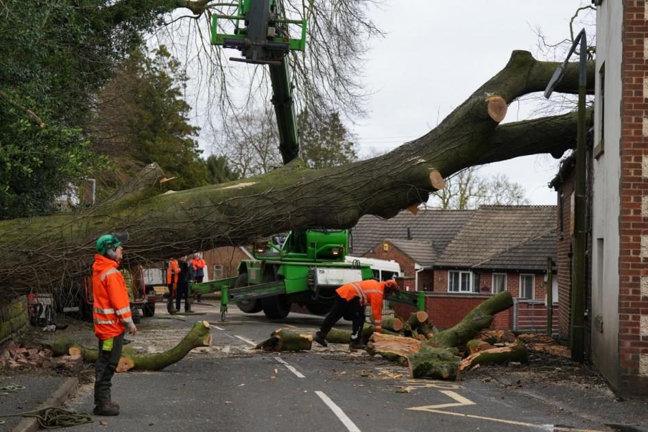 Met Office Issues Safety Tips for York as Wind Gusts Exceed 50mph