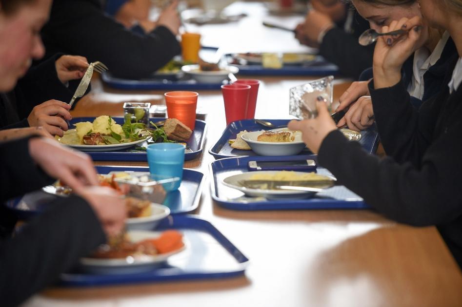 Unappealing School Meals Turned Me Off Certain Foods Forever
