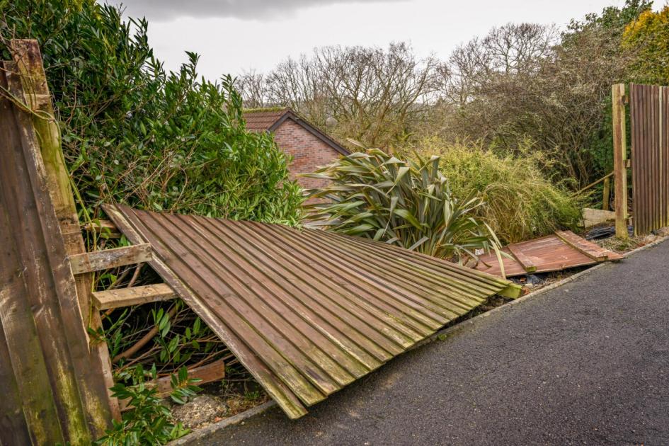 Storm Isha aftermath: Determining responsibility for garden fence repair