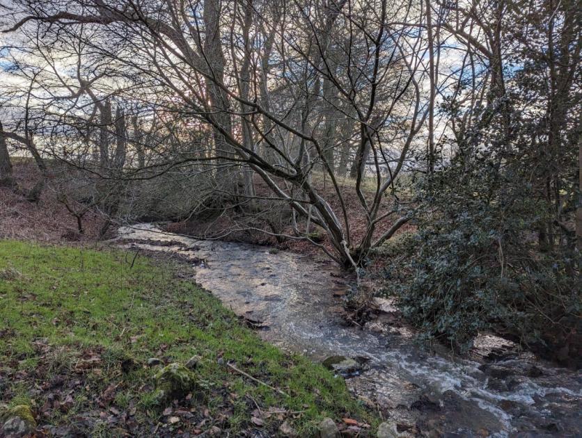 This is how we can restore the River Foss to its natural state 