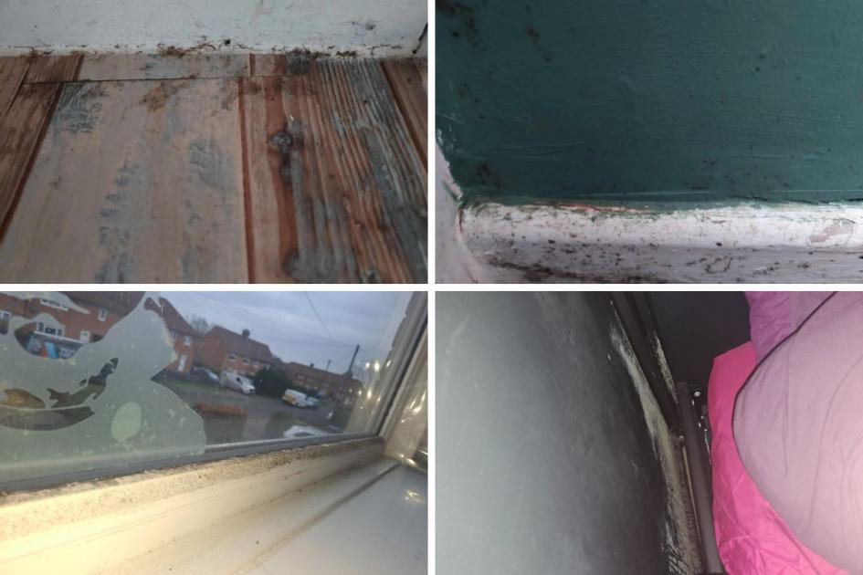 Skelton: Anger at damp and mould in Yorkshire Housing property | York Press 