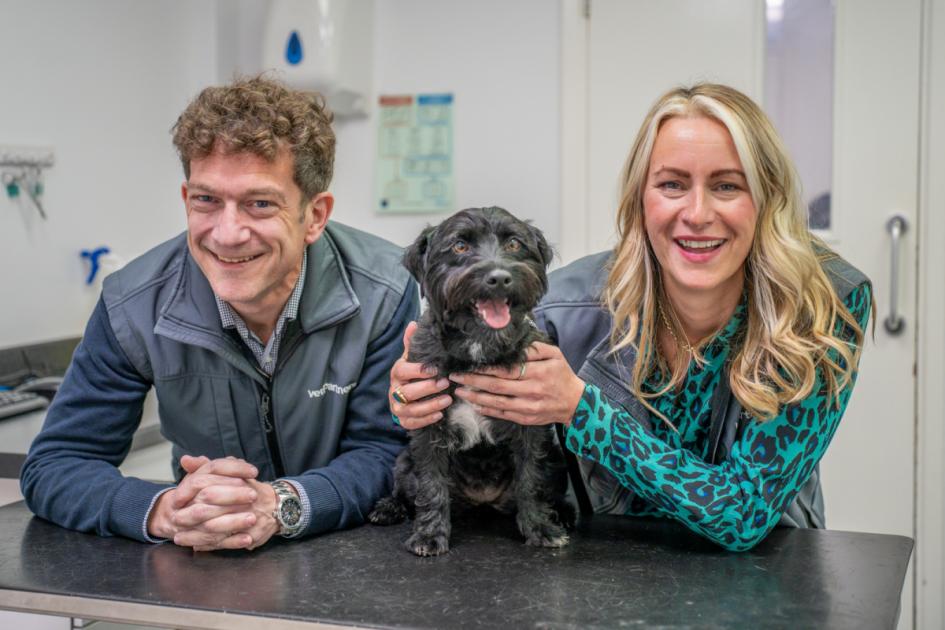 Two top appointments made at major York vet company