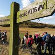 Walkers on the Yorkshire Wolds Way.