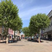Parliament Street in York. Our letter writer says the trees are damaging the paths and should go - what do you think? Image: Staff