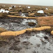 Brown, degraded peatbog before restoration. Picture: Jenny Sharman/YPP