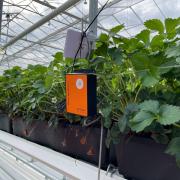Biodiversity experts at AgriSound in York have installed a number of their insect-listening devices at Dyson Farming’s Carrington site in the UK.