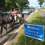 Scarborough police doing spot checks on drivers this morning (June 24) got an unexpected visit from some donkeys