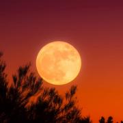 The harvest moon will peak on Friday morning, but what is it, and when is the best time to see it