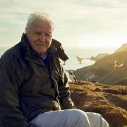 The BBC has announced that they will only air the episode of Sir David Attenborough's new show on BBC iPlayer over rightwing backlash fear.