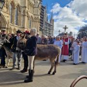 Watch: Donkeys lead Palm Sunday procession from York Minster
