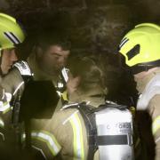 Fire crews undertook a daring rescue to help the animal.