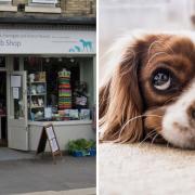 Animal lovers are being invited to join a family fun day event at the RSPCA’s Acomb Charity Shop