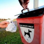 Our letter writer is complaining about 'irresponsible' dog owners allowing their pets to foul outside their home. Is this a problem where you live too? Image: Stock
