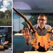 Main image: Yorkshire Museum curator Andy Woods with one of the Star Carr headdresses. Left, top to bottom: a reconstruction of what part of the lakeside settlement may have looked like and, bottom,  curator Emily North with part of the wooden platform
