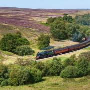 Have you got any plans to explore the North York Moors this spring?
