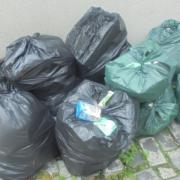 Michelle Dennis from Percy Street, Goole, dumped rubbish in the town